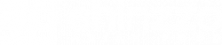 logo-shinzzo